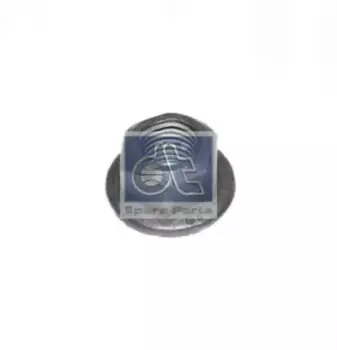 Гайка автомобильная DT 2.70901