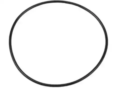 General Motors,Кольцо уплотнительное 90079848 GM