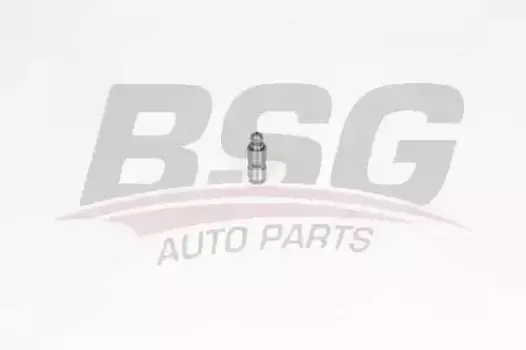 Гидрокомпенсатор BSG BSG 40-122-025