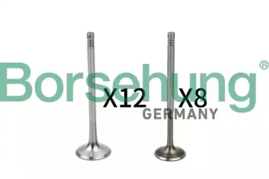 к-кт клапанов! впуск./выпуск. 20шт. 27x6x105.1\ Audi A3/A4/A6 1.8/2.4,VW Bora/Golf/Passat 94> B18635 BORSEHUNG