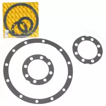 к-кт прокладок заднего моста!\ ГАЗ 3302 RG3302-2400000 RIGINAL