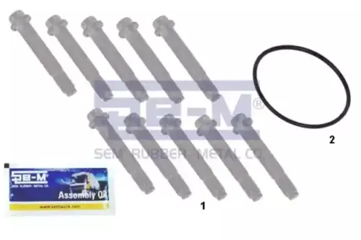 к-т болтов крепления торм. диска! 10 болтов M12x1.5x75, кольцо упл., смазка\SAF 16201 SE-M