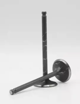 КЛАПАН ГРМ VI32001 (РБ) AUTOWELT