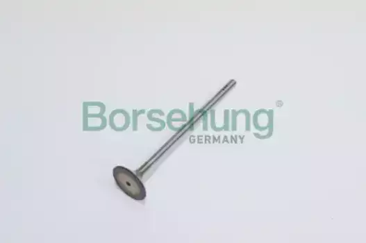 клапан впускной! 26.5x5x110.3\ Audi A3, VW Golf 1.2TSI 12> B19022 BORSEHUNG