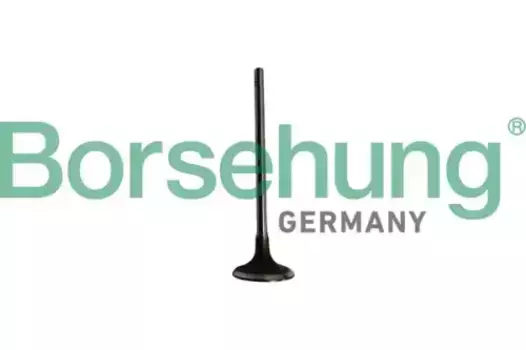 клапан впускной! 29.7х5х95.1\ BMW F20/21 10> B10334 BORSEHUNG