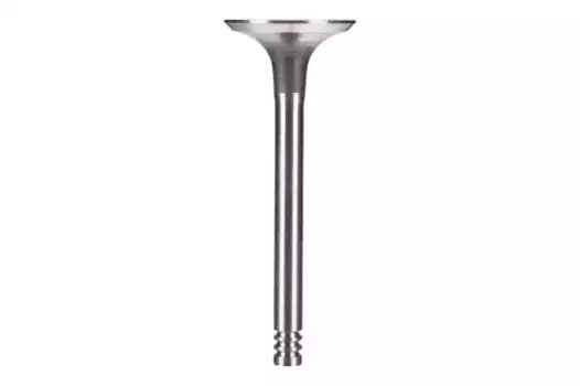 клапан впускной! 36x8x95.55\ VW Golf/Passat/T4 1.9TD/LT 2.4TD 89> Z71453 ZENTPARTS