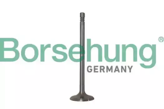 клапан впускной! 39.5x6x108.8\ MB W203/204/221 3.5/4.5 mot.M272/273 04> B10347 BORSEHUNG