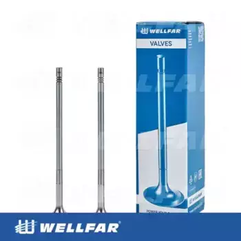 клапан впускной! 42x8x192 25град.\ VOLVO FH/FM D13A/D13B 101-216100 WELLFAR