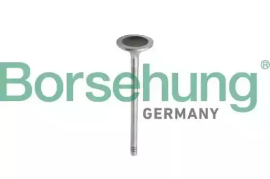 клапан впускной! \ MB C180/C200/C250/E200/E250/200/250 B10343 BORSEHUNG