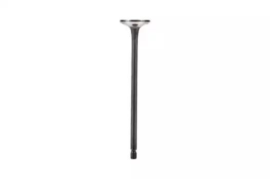 клапан выпускной! 25.5x5.5x114.6\ Mitsubishi Lancer/Space Star 1.6i 16V 4G18 01> Z71434 ZENTPARTS