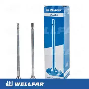 клапан выпускной! EX 30град. 40x8x192.7\ RVI Premium/Kerax, VOLVO 101-216080 WELLFAR