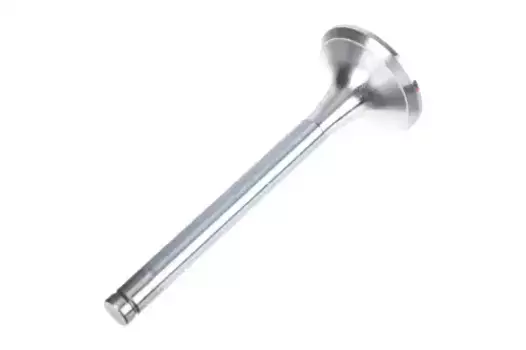 клапан выпускной! EX 51x12x142.5\ MAN D2555/56/65/66/D2840/65/66/76 Z71517 ZENTPARTS