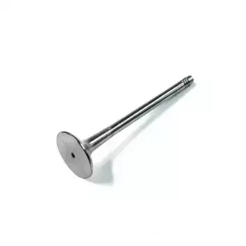 клапан выпускной ГРМ!\ Audi A4 06D109611H VAG