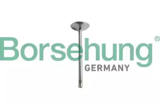 клапан выпускной!\ MB B10344 BORSEHUNG