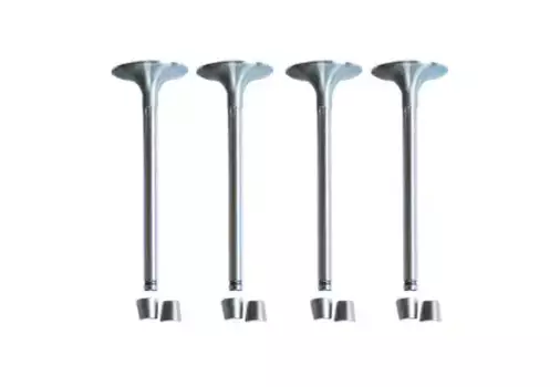 клапана впускные! к-кт 4шт.\ Renault Logan/Sandero/Clio/Megane 1.2/1.4/1.6 89> 30463 ASAM