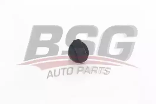 клипса арок колесных!\ Citroen/Peugeot BSG 70-995-004 BSG