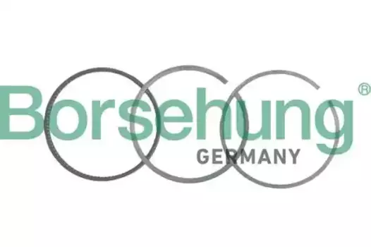 Кольца поршневые BORSEHUNG B19036