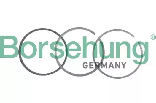 Кольца поршневые BORSEHUNG B19043