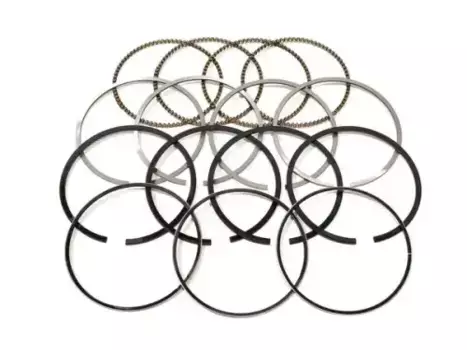 Кольца поршневые CHERY / EXEED 481FD-1004030