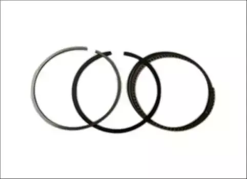 Кольца поршневые VIKA 11981543201