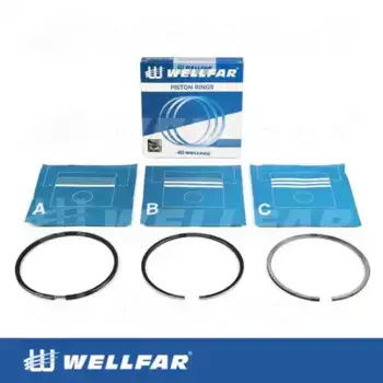 Кольца поршневые WELLFAR 005-500300-000