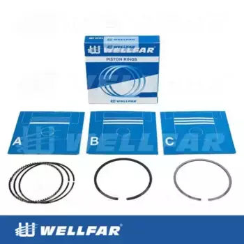 Кольца поршневые WELLFAR 005-500790-050