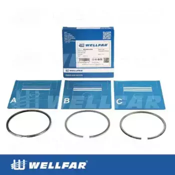 Кольца поршневые WELLFAR 005-501040-000