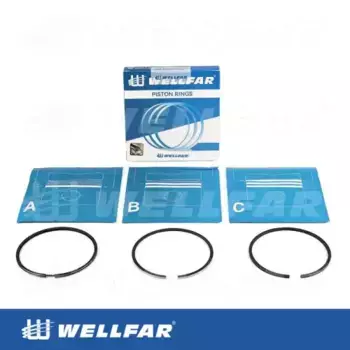 Кольца поршневые WELLFAR 005-501071-000
