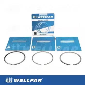 Кольца поршневые WELLFAR 005-501870-000