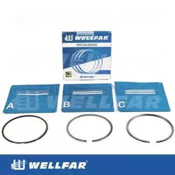 Кольца поршневые WELLFAR 005-501881-000