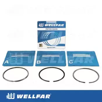 Кольца поршневые WELLFAR 005-502070-000