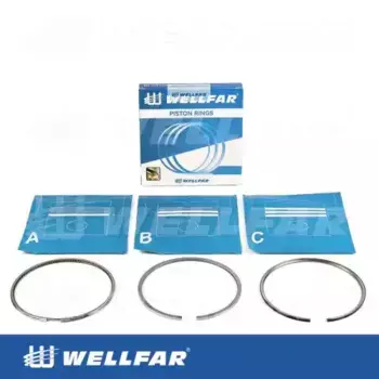 Кольца поршневые WELLFAR 005-502132-000