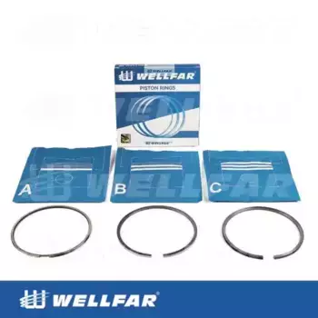 Кольца поршневые WELLFAR 005-502330-000