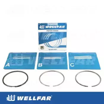 Кольца поршневые WELLFAR 005-502820-000
