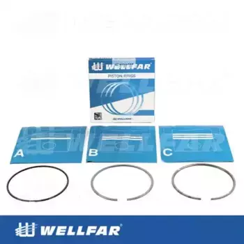 Кольца поршневые WELLFAR 005-504810-000