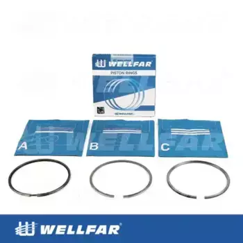 Кольца поршневые WELLFAR 005-509970-000