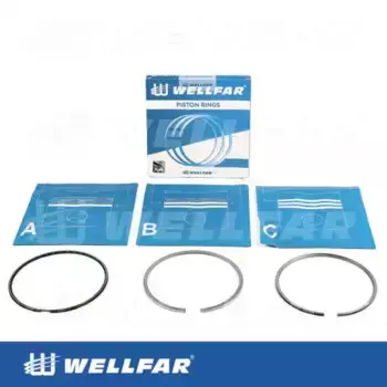 Кольца поршневые WELLFAR 005-514931-000