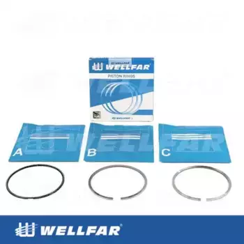 Кольца поршневые WELLFAR 005-516510-000