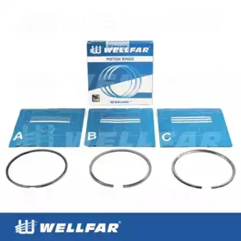 Кольца поршневые WELLFAR 005-516810-000