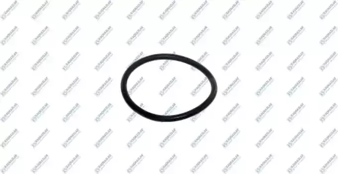 кольцо КПП! 72.4 х 5.3 \MB K21.04310 KACMAZLAR