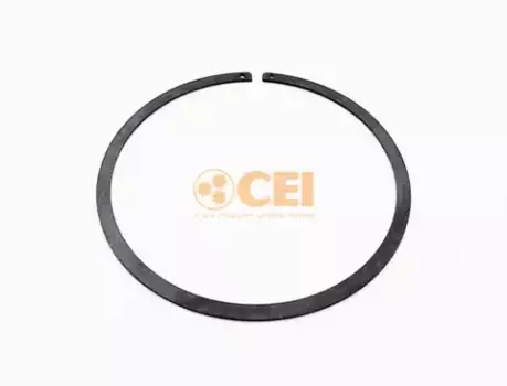 кольцо стопорное! планет. перед. \SCANIA GR 801/R-905/R, GRS(O) 900/R,905/R, GRS 890/R-920/R