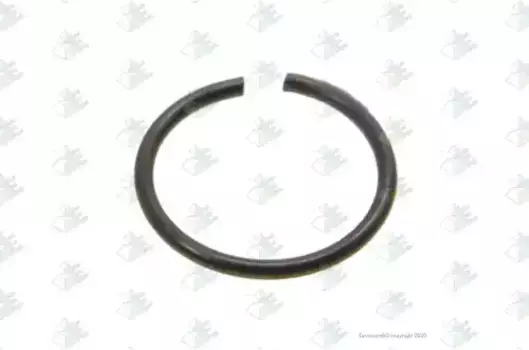 кольцо трансмиссии! стопорное крестовины дифференциала 4x \Scania RP730/RP731 74170658 EURORICAMBI