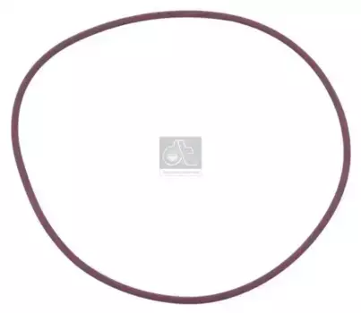 Кольцо уплотнительное автомобильное DT 2.44916