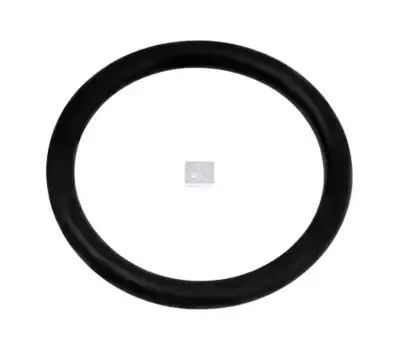 Кольцо уплотнительное автомобильное DT 3.89512