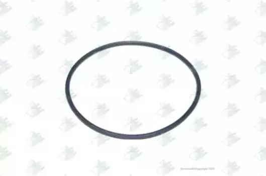 Кольцо уплотнительное автомобильное EURORICAMBI 95531699