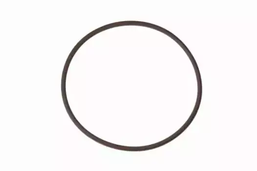 Кольцо уплотнительное автомобильное IVECO 17291281