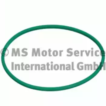 Кольцо уплотнительное автомобильное PIERBURG 3.32038.01.0