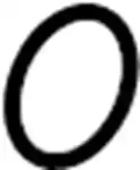 Кольцо уплотнительное автомобильное VAG 7H0820898