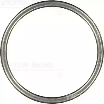 Кольцо уплотнительное автомобильное VICTOR REINZ 71-26201-10