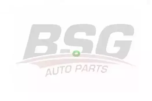 Кольцо уплотнительное форсунки BSG BSG 30-995-050